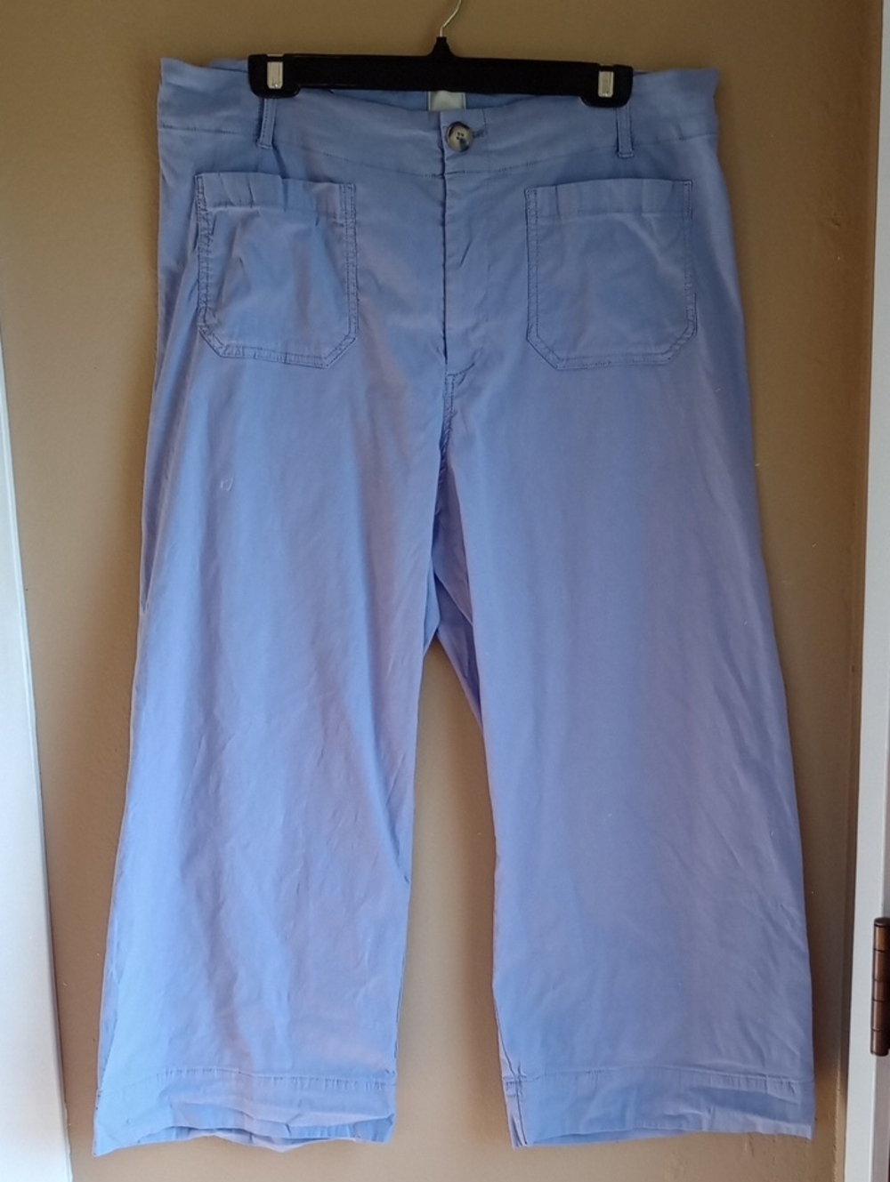 Maeve Wide-Leg Cropped Pants in Light Blue
